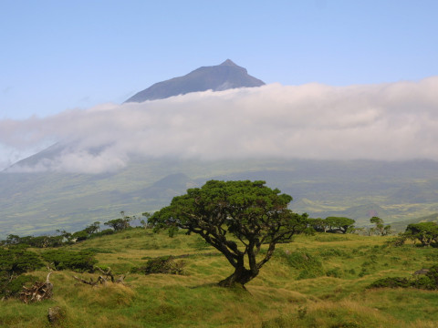 When's the best time to visit the Azores