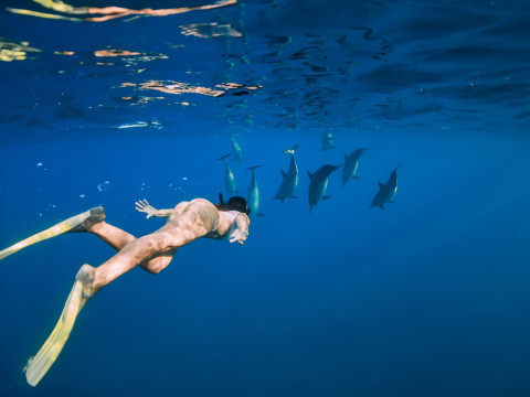 Snorkelling in Terceira