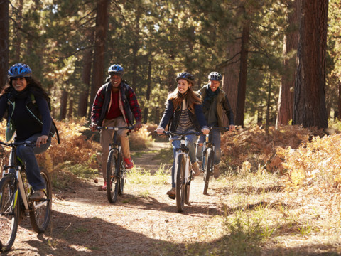 3 Islands Wildlife, Mountain Biking & Hiking plus Lisbon stopover