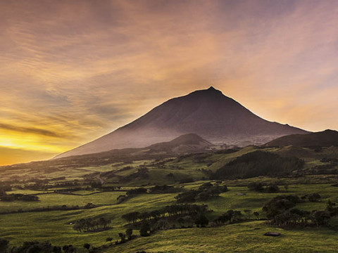 Pico