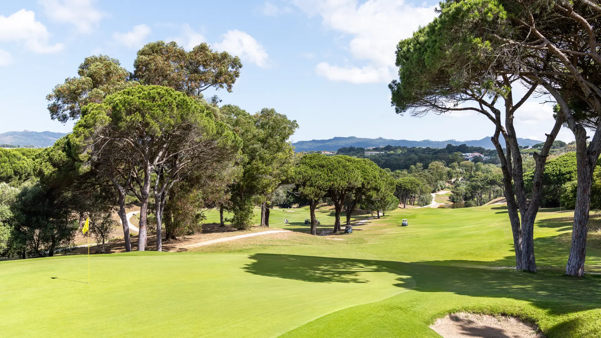 Image of golf 2