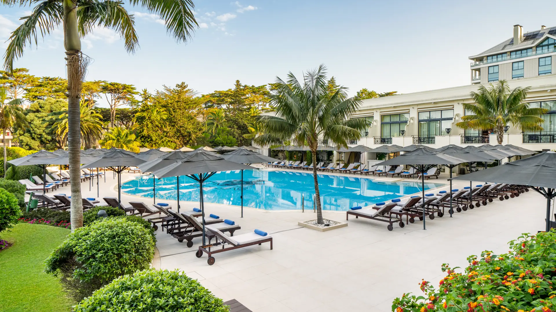 Image of pool2