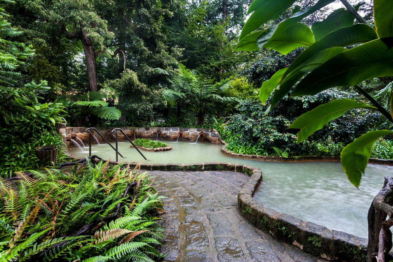 Image of garden