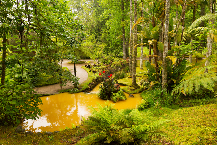 Image of Terra Nostra Botanical Gardens