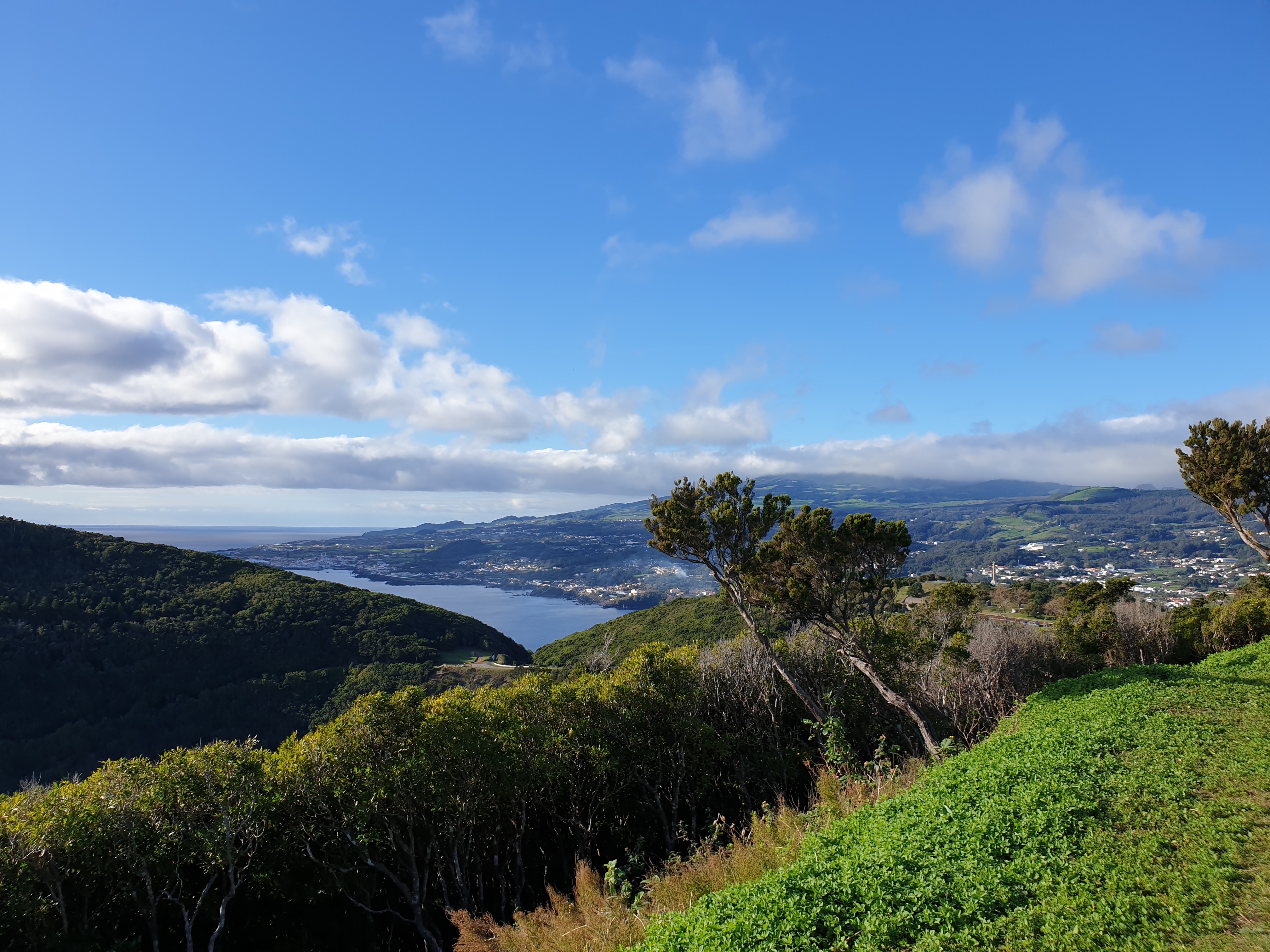 Image of Van Tour West Side Terceira