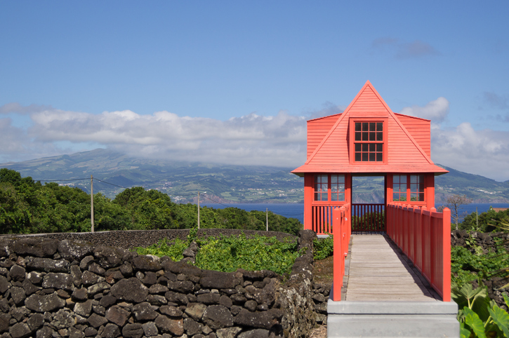 Image of Pico half day tour