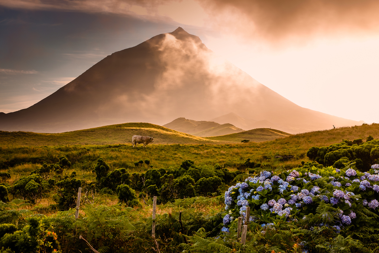 Image of 3 Islands  of the Azores