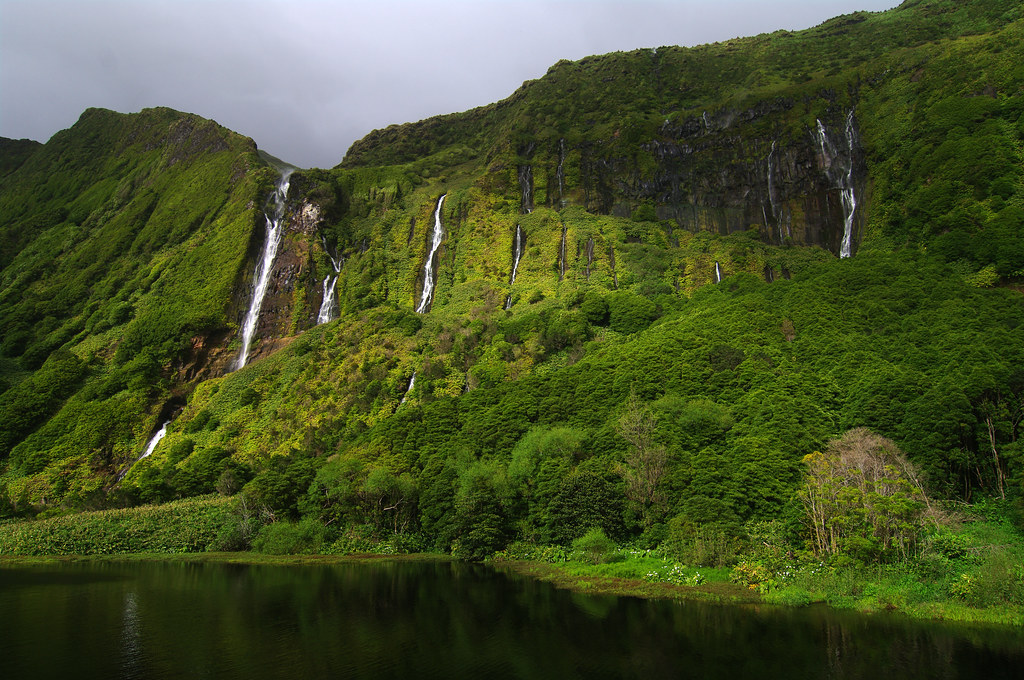 Image of Flores
